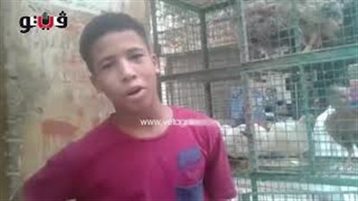 بالفيديو.. انخفاض أسعار الدواجن بأسواق الجيزة اليوم