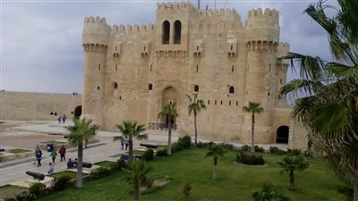 متولي: إزالة ١٨٦ ألف متر مربع تعديات على أراضي منطقة آثار الإسكندرية