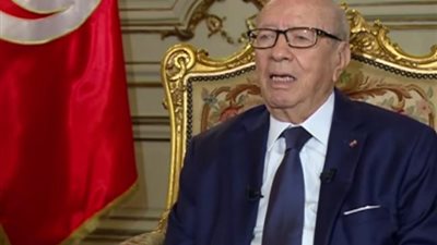 بالفيديو.. «السبسي»: مصر وتونس جاهزتان لمواجهة الإرهاب