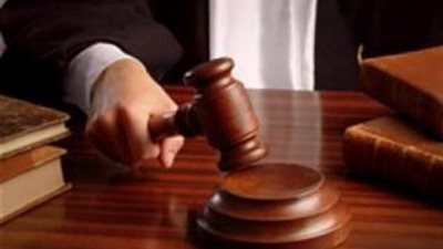 3 سبتمبر.. الحكم في دعوى إسقاط الجنسية عن المستشار وليد شرابي