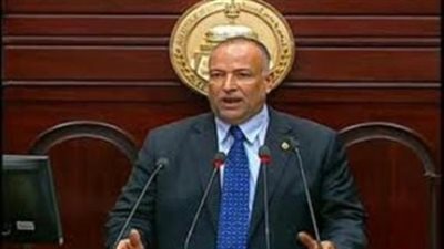 أبو العينين: من العبث القول إن الشرطة غير قادرة على حماية الاستفتاء