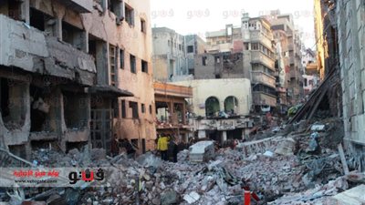 المصريين في أوربا: الدستور خطوة نحو الاستقرار