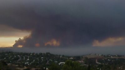 1335 محضر سحابة سوداء وتجميع 14 ألف طن قش بالغربية وكفر الشيخ