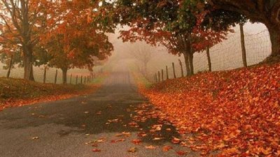 العلوم الفلكية: فصل الشتاء يبدأ 22 ديسمبر