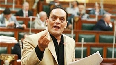 برلمانى سابق يطالب بتشديد السيطرة الأمنية خلال الاستفتاء