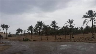 امطار متوسطة بشمال سيناء