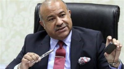 رئيس جهاز تنمية التجارة الداخلية: الرئيس سيعلن عن مبادرة سلعية قريبا