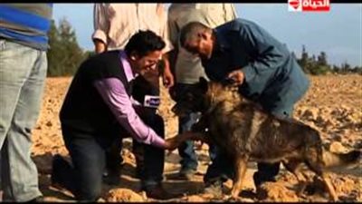 بالفيديو.. ضبط 10 كيلو بانجو مخبأة تحت الأرض بالإسماعيلية