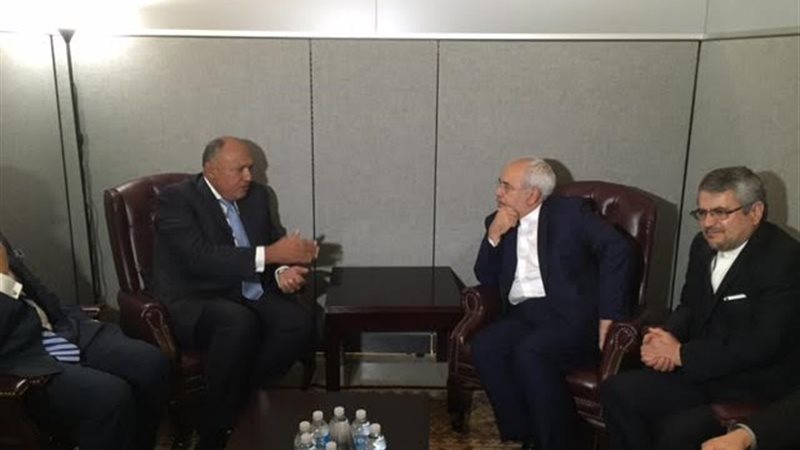 سامح شكري وزير الخارجية