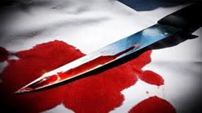 حفظ التحقيقات في قضية قتل عامل لوالده بإمبابة بسبب «الجنون»