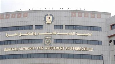 «أستاذ اقتصاد» يطالب بعرض قانون الاستثمار على رجال الأعمال