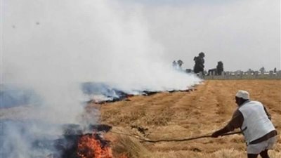 6 أمراض تصيب الإنسان بسبب حرق قش الأرز.. السرطان أخطرهم