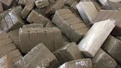 حبس «الجرانش» صاحب أكبر شحنة مخدرات مضبوطة بالشرقية