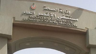 مصرع وإصابة 8 أشخاص في انقلاب سيارة بالأقصر