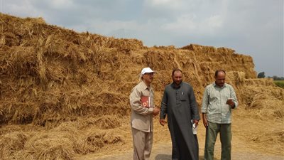 البيئة: خطة عمل للتفتيش البيئي ومنظومة قش الأرز بالمحافظات