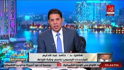 بالفيديو.. «الزراعة» عن تسعير الأرز: «مش من اختصاصنا»