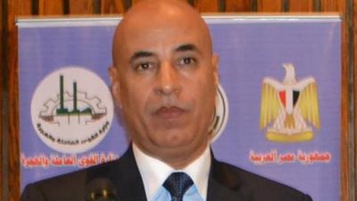 عادل حنفي: إلغاء تصويت المصريين بالخارج بالبريد يقضي على التزوير