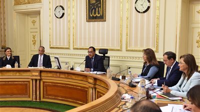 المجموعة الاقتصادية تستكمل مناقشة مقترحات خفض الدين العام