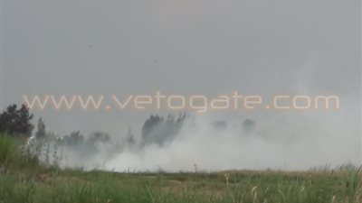 تحرير 14 محضر حرق قش أرز بدمياط