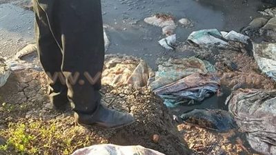 بالصور.. ضبط 50 طن مخلل داخل حفرة صرف صحي بالمحلة