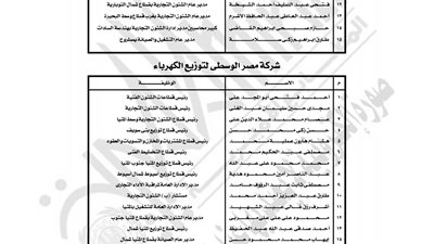 بالأسماء.. «العدل» تمنح موظفي الإدارة العليا بالكهرباء «الضبطية القضائية»