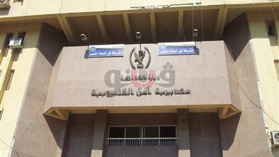 أهالي طوخ يلقنون لصين «علقة ساخنة» لمحاولتهما سرقة منزل