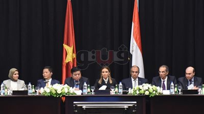 وزير الاتصالات يبحث الفرص الاستثمارية مع فيتنام