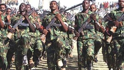 مواجهات بين الجيش السوداني والحركات المسلحة بجنوب دارفور