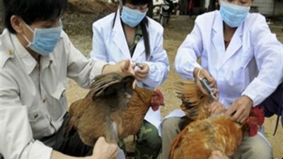 اليابان تعتزم تطبيق تدابير وقائية للحد من إنتشار فيروس إتش7 إن9