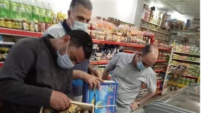 ضبط 266 كيلو أسماك مملحة مجهولة المصدر بالمنيا