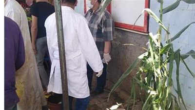 ضبط 20 كيلو ممبار غير صالح للاستهلاك الآدمى بالوادي الجديد