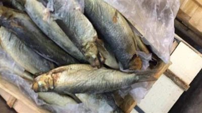 حملة تموينية بالدقهلية تصادر أطنانا من الفسيخ والسردين الفاسدين