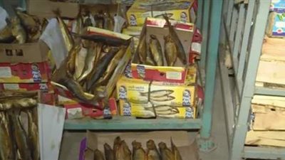 ضبط 2 طن أسماك مملحة 