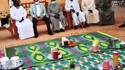 وسط أجواء من البهجة .. محافظ أسوان يشارك أهالي قرية تنقار النوبية الإفطار |صور