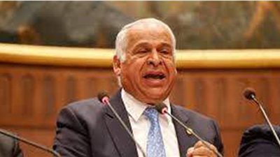 فرج عامر: جهاد جريشة جامل الزمالك في نهائي كأس مصر 2014