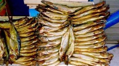 إعدام 1.5 طن رنجة فاسدة داخل ثلاجة في الإسكندرية