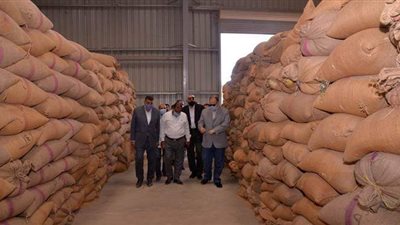 توريد ١٦ ألف طن قمح لشون وصوامع أسيوط