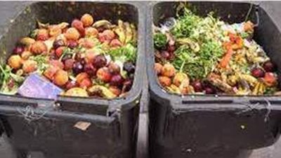 تجار أتراك يلقون مئات الأطنان من الخضروات بحاويات القمامة | فيديو