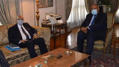 وزير الخارجية يؤكد لنظيره المالي رغبة مصر في تعزيز العلاقات بين البلدين
