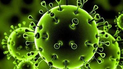 هل تقضي الحرارة المرتفعة على فيروس كورونا .. استشاري جهاز هضمي يجيب