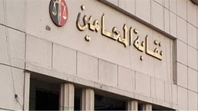 محامين مطروح تعلن كشوف مرشحي انتخابات اللجنة النقابية.. غدا