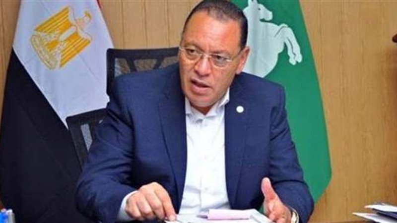 محافظ الشرقية