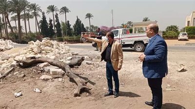 نائب محافظ الجيزة يتفقد مشروع الصرف الصحي بميت رهينة | صور