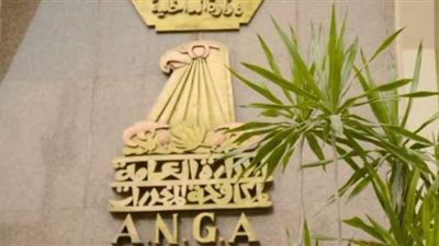 ضبط 3 سيدات بتهمة غسل 25 مليون جنيه من تجارة المخدرات بالقليوبية