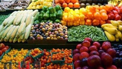 محافظ الإسماعيلية: صادراتنا من الخضراوات والفواكه تخطت مليوني دولار