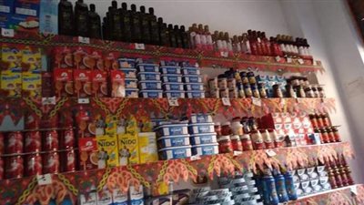 محاضر بالجملة لمستودعات البوتاجاز في الإسكندرية