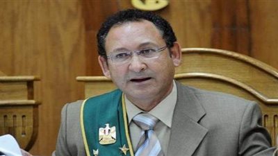 حكم نهائي.. مصر خالية من التعذيب الممنهج والشرطة ملتزمة بالمعايير الدولية