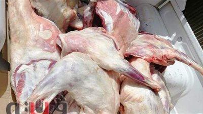 ضبط 100 كيلو لحوم مجهولة المصدر في قنا | صور