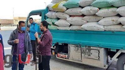 توريد 91 ألف و170 طن قمح لشون وصوامع وهناجر بني سويف