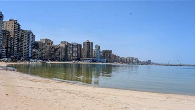 ميناء الإسكندرية يستقبل ١٠٠ ألف طن حاويات وغلال